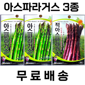 아스파라거스 3종세트 청아스파라거스50립 2봉 적아스파라거스40립 1봉 기획전, 1세트