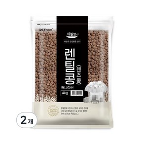 고단백 더담은 렌틸콩 렌즈콩 요리다양성 4kg 2개