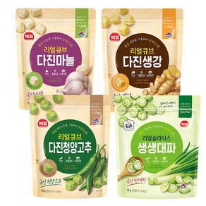 사조해표 리얼큐브 2+2 골라담기 (리얼큐브 다진마늘 2봉 + 리얼큐브 다진생강 2봉)