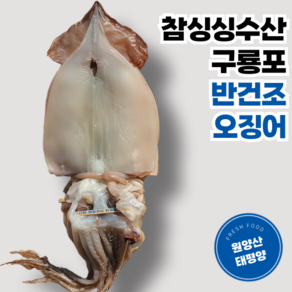 [참싱싱수산] 원양산 구룡포 반건조 오징어, 1개, 550g 내외 5미