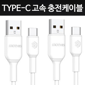 정담 USB C타입 100W 고속 충전 케이블 1M, 2개, 화이트, 100mm