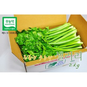 [삼현농장] 친환경 무농약 다용도 셀러리 2kg / 평일 오전 10시주문까지 수확 발송