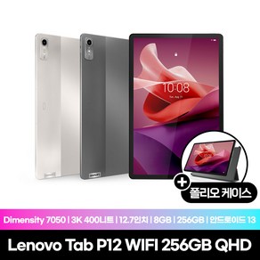 [Lenovo Cetified] Tab P12 WIFI 256GB QHD 그레이 국내정식수입 케이스증정, Wi-Fi