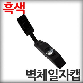 벽체일자캡 흑색 직결나사캡 판넬벽체캡 육각머리나사캡 판넬용원형캡 샌드위치판넬 조립식판넬 패널, 100개