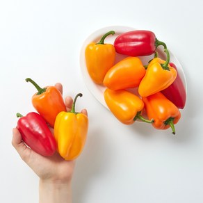 산지직송 뉴다온 미니 파프리카 빨강 노랑 주황 지지팜 농장, 혼합 1kg, 1박스, 1kg