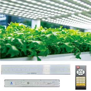 삼성식물LED EVO 50W LED식물등 생장 성장 모듈 M2 세트, 1개