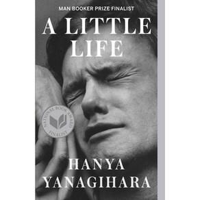 (영문도서) A Little Life Paperback