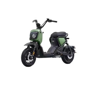 혼다 줌머 전기스쿠터 honda zoome 대용량 리튬배터리 48V24Ah, A. 아보카도 그린, 24Ah, 1개