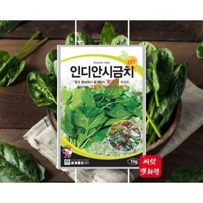 맛있는 시금치씨앗 인디안시금치종자 황궁채 황실에서 즐겨먹던 시금치, 1개