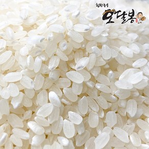 힘찬농부오달봉 햅쌀 농심사랑쌀 농협쌀, 1개, 1kg