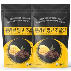 본리코 망고 다크 초콜릿, 100g, 2개