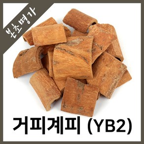 본초명가 거피계피(YB2) 베트남산, 600g, 1개