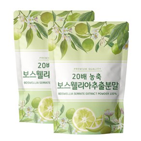 닥터릴리 보스웰리아 추출 분말 가루, 2개, 500g