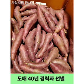 가락시장 한사장 못난이 고구마 밤고구마 (도매 40년 경력자가 선별), 1박스, 5kg