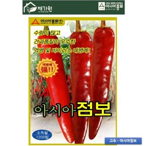 [고추씨앗종자] 아시아점보 (30립), 1개