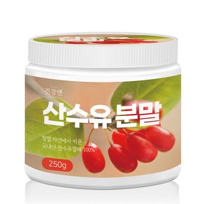 건강앤 국내산 구례 산수유 분말 100% 250g 계량스푼 증정