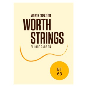 Worth String 워쓰 클리어 브라운 콘서트 테너