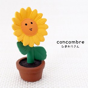 [데꼴] 2024concombe 여름이야기 해바라기 화분