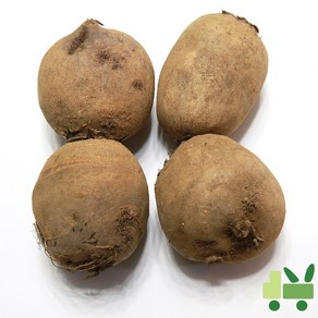 사라상회 비트 10Kg (상), 1개