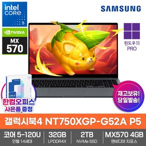 삼성 갤럭시북4 NT750XGP-G52A P5 노트북 윈도우11PRO 32GB램 SSD2TB 코어5 MX570 가성비 업무용 대학생, WIN11 Po, 32GB, 2TB, 그레이