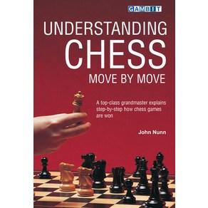 (영문도서) Undestanding Chess Move by Move Papeback, Gambit Publications, English, 9781901983418