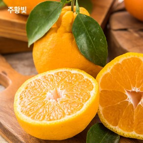 주황빛 한라봉 가정용 선물용, 한라봉 2kg 가정용 [7-10과]