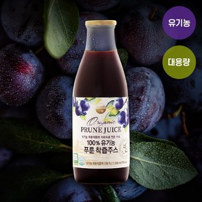 플랜마이 푸룬주스 푸룬원액 유기농 1000ml, 1병, 1개, 1L