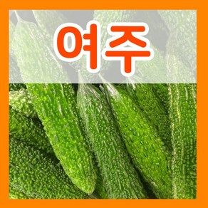 여주 씨앗 10립 여주씨 재배 종자 파종 채소키우기, 1개