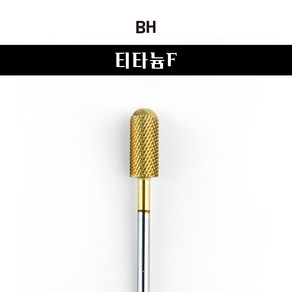 BH 티타튬 F 네일 비트, 혼합색상, 1개