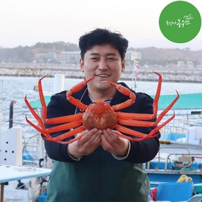 최고다농수산 홍게 산지직송 1kg 3kg 손질홍게 박달홍게 홍게도시락 자숙비용 무료, 2kg내외, 1개, 연지 활홍게 2kg