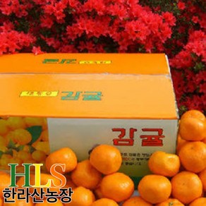 제주 서귀포 감귤 10KG 중대과 L-2L 첫수확 불만족 시 무료반품, 1박스