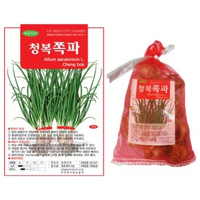 2025년 채종 국내산 쪽파씨앗 쪽파종구, 1kg, 1개