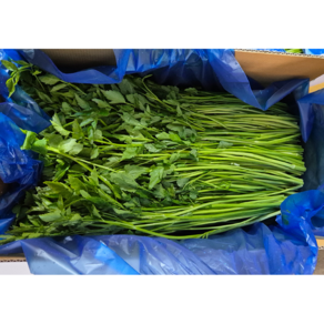 국내산 돌미나리 나주 불미나리 [산지직송], 1개, 1kg