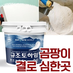 규조토월드 규조토하임 미장용 몰탈타입 10Kg 곰팡이 결로 심한 곳 강력추천 단열 결로 벽지 곰팡이방지 베란다 천연 친환경 셀프, 1개, 01.기본:화이트