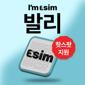 발리 인도네시아 무제한 데이터 esim 이심