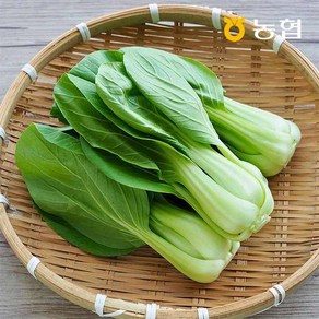 농협선별 신선한 청경채 1kg, 01.신선한 청경채 1kg, 1개