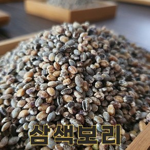 밥보야 24년산 국산 삼색보리 1kg 삼색보리쌀, 1개