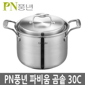 풍년 파비움 통5중 곰솥30cm 인덕션냄비 FV5PT-30CH, 최신형 파비움30cm