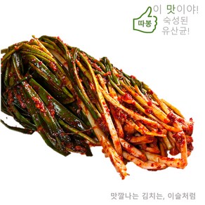 이슬처럼 맛있다! 수입산 파김치 5kg 쪽파김치 중국산 (옵션A:일반파김치), 1개