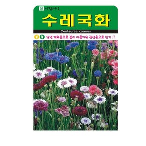 SN월드 야생화 씨앗 꽃씨앗 모음, 1개