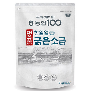 소금천일염 굵은소금 명품 국산100% 농협에서만든 안전한 소금[농협식품], 1kg, 1개