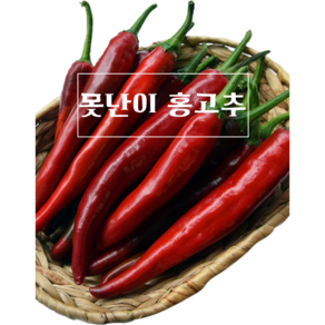 국내산 못난이 홍고추 빨간고추 붉은고추 500g, 홍고추 상 1kg, 1개