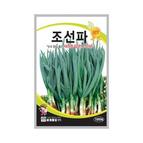 세계종묘 조선파씨앗 1000립, 1개