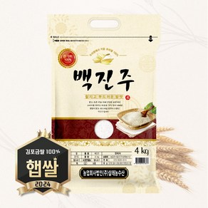 살레농수산 24년 햅쌀 경기미 백진주 쌀, 1개, 4kg