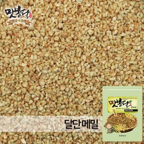 맛봉달 2022년 볶은메밀 달단메밀 메밀차 중국산