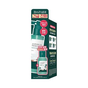 라운드랩 소나무 진정 시카 두피 토닉 100ml (+샴푸 50ml), 1개