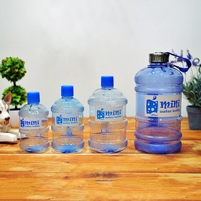 특집세일/미니생수통 대용량 1000ml/650ml/480ml 물병 약수통_c, 블루, 480ml