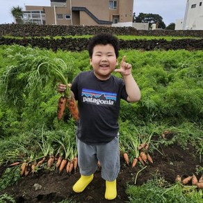 국산 제주 구좌 햇당근 흙당근(중) 주스용 제주농부 산지 직송 [원산지:국산(제주특별자치도 제주시)], 1박스, 3kg