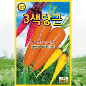 KS종묘 3색당근 씨앗 500립 주황 노랑 보라색 혼합 당근씨 종자, 1개