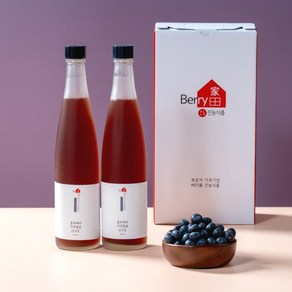 블루베리 발효식초 100%, 500ml, 2병(1세트)